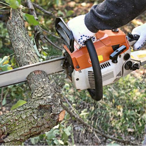 Tree Cutting